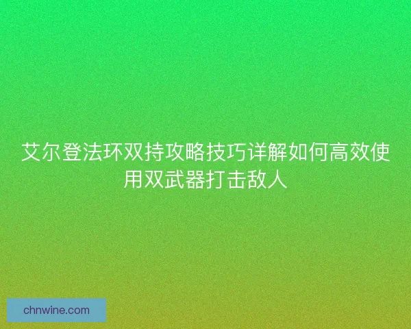 艾尔登法环双持攻略技巧详解如何高效使用双武器打击敌人