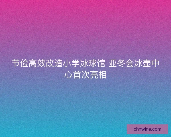 节俭高效改造小学冰球馆 亚冬会冰壶中心首次亮相